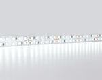 Светодиодная лента двухрядная GS3703 2835 240Led /24W m/ 24V IP20 6500K/ 5000*14*1.2mm/ кратность резки 50mm (2 конт.)