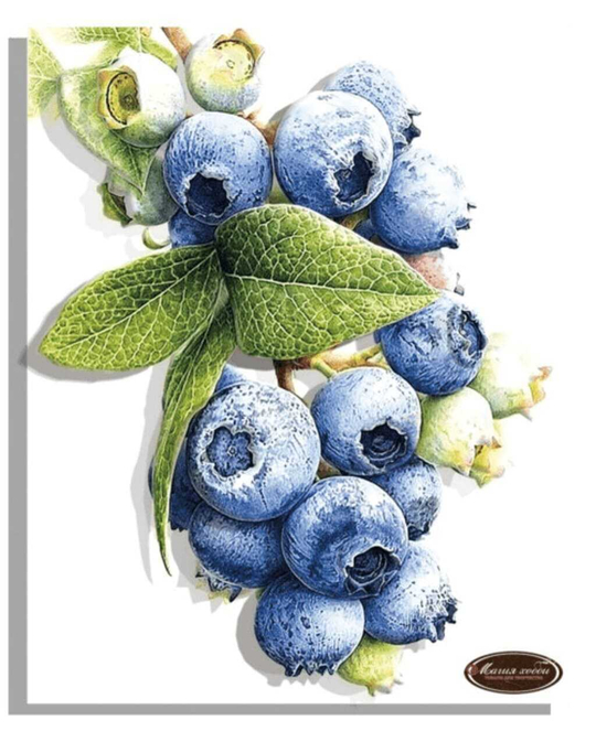 Папертоль РТ150298 "Черника" 20*25см.