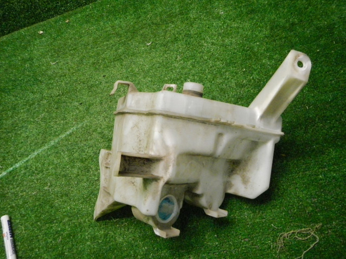 DSCN3667.JPG