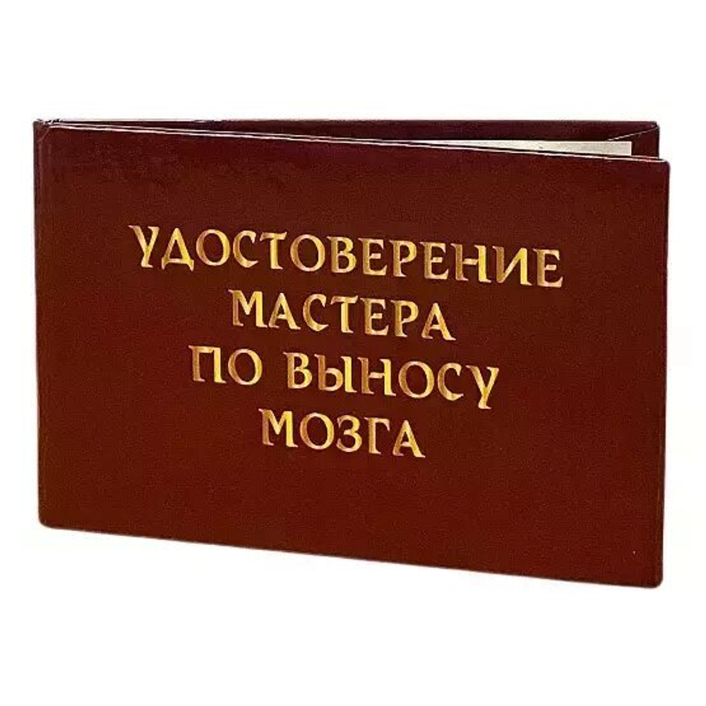 Шуточное удостоверение Мастера по выносу мозга