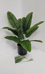 Куст банановой пальмы / Арт 6211