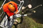 Бензопила Stihl MS 193 T, Шина 35 см