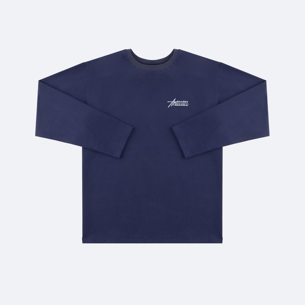 Лонгслив Anteater Phat Long113 (blue) артикул: - купить в магазине Дайс