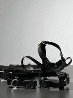 Шлейка Black Fang, наличие