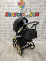 Коляска модульная Adamex Chantal Star Collection Star 102