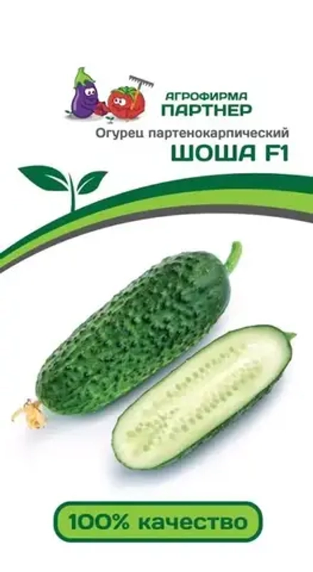 Огурец Шоша
