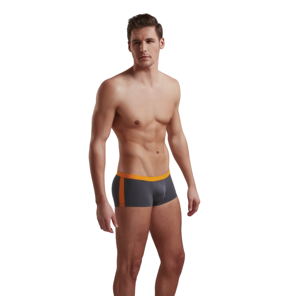 Мужские трусы хипсы темно-серые Doreanse 1744 Boxer