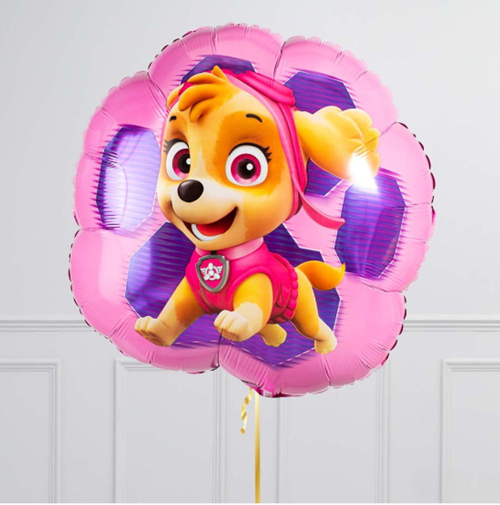 Шар-фигура, фольга, "Щенячий Патруль Скай и Эверест/Paw Patrol Girls" (AN), 25"/58 см х 63 см 