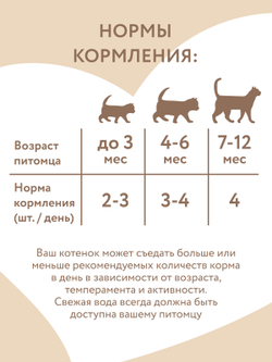 Влажный корм Мнямс На каждый день Кусочки в соусе с индейкой для котят старше 1 месяца 85 г