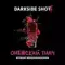DARKSIDE SHOT - Онежский Панч (30г)