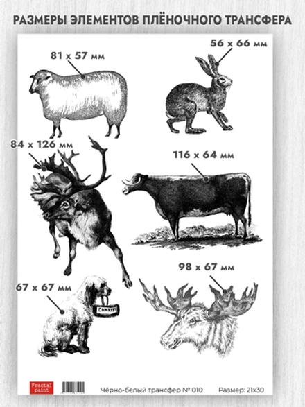 Трансфер для декупажа переводной рисунок для поверхностей чёрно-белый 010