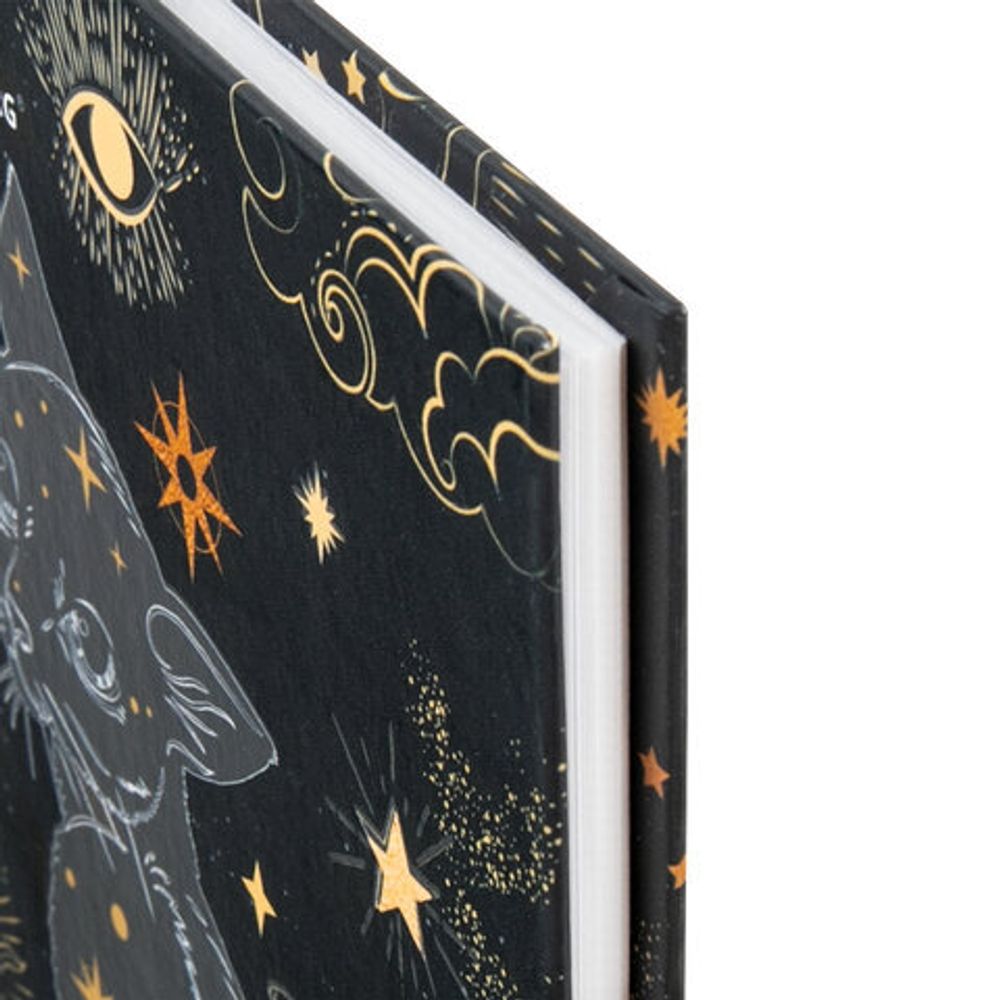 Дневник 5-11 класс 48 л., твердый, BRAUBERG, выборочный лак, с подсказом, "Astro Cat", 106415