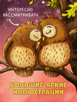 Книжки-картонки. Совушка в лесу. Первая книга малыша о природе