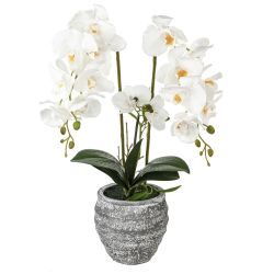 GAEM Цветочная композиция "Орхидея", L18 W18 H82 см