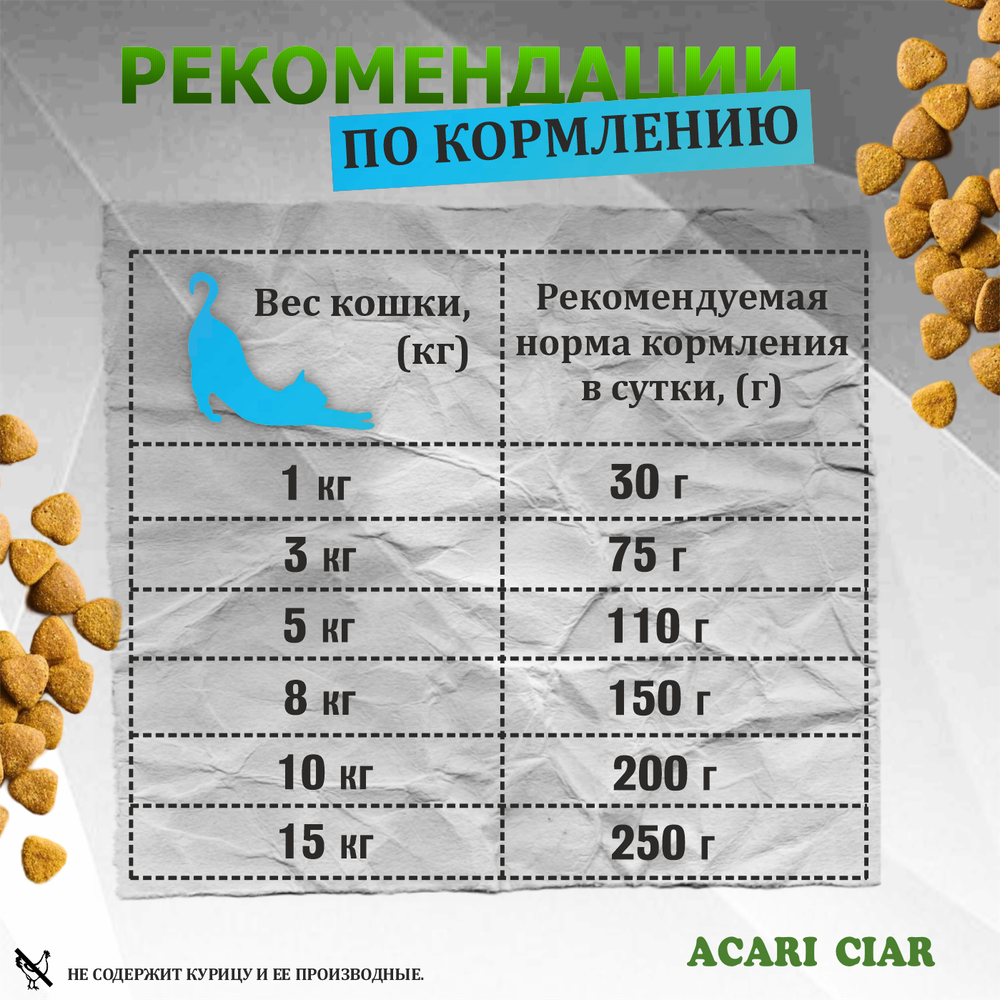 Acari Ciar А КЭТ Мейн-кун Рыба