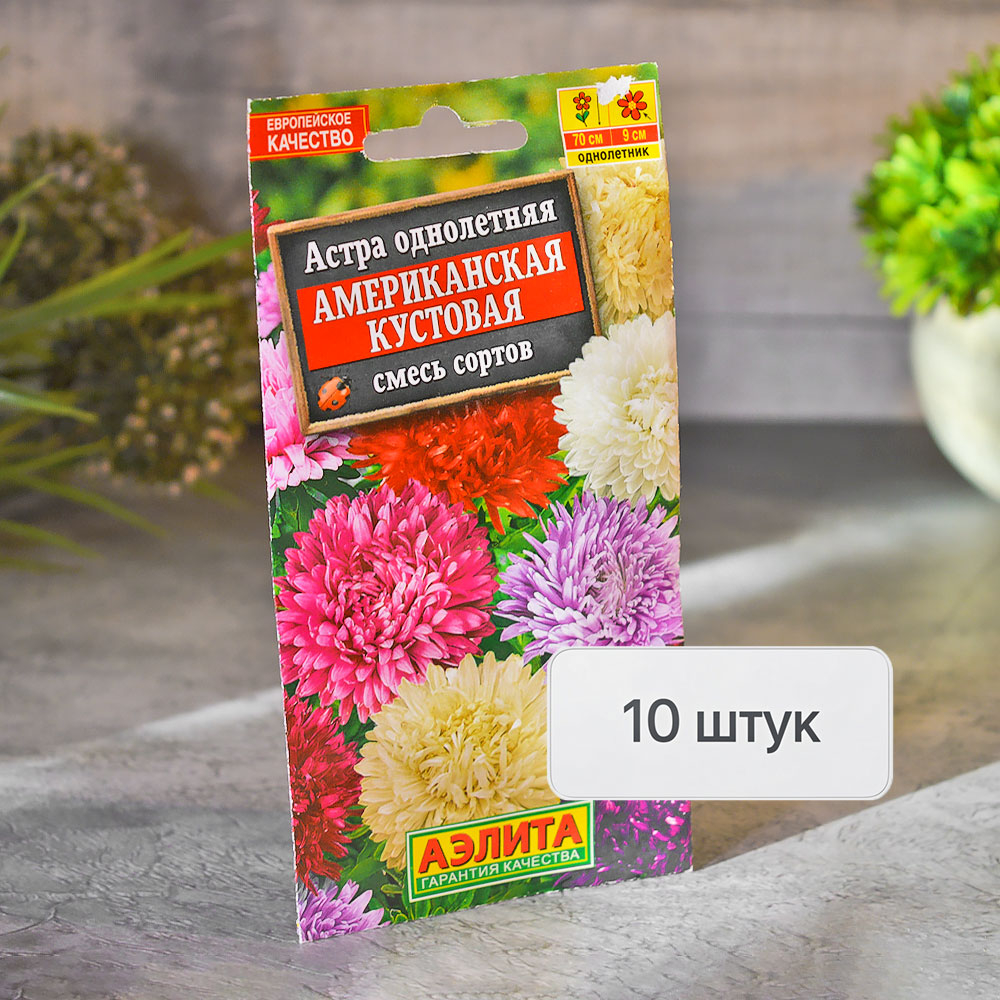 АСТРА Американская кустовая Аэлита Ц (10шт)