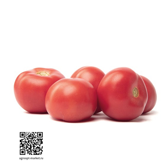 Ксидеджиа_F1_семена_томата_индетерминантного_Nunhems_купить – фото 1