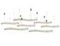 Подвесной светодиодный светильник Newport Compositions S8240_073G