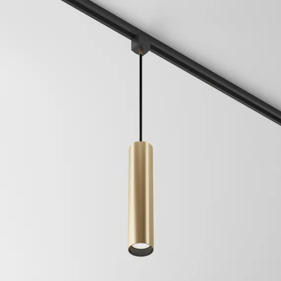 Трековый подвесной светильник Фокус / Focus Unity GU10 10Вт Technical tr025-1-gu10-mg