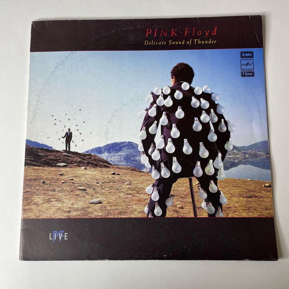 Винтажная виниловая пластинка LP Pink Floyd Delicate Sound Of Thunder (СССР 1990) Another Brick In The Wall