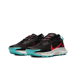 Мужские кроссовки Nike Pegasus Trail 3 Gore-tex 'Black Bright Crimson' DC8793-002