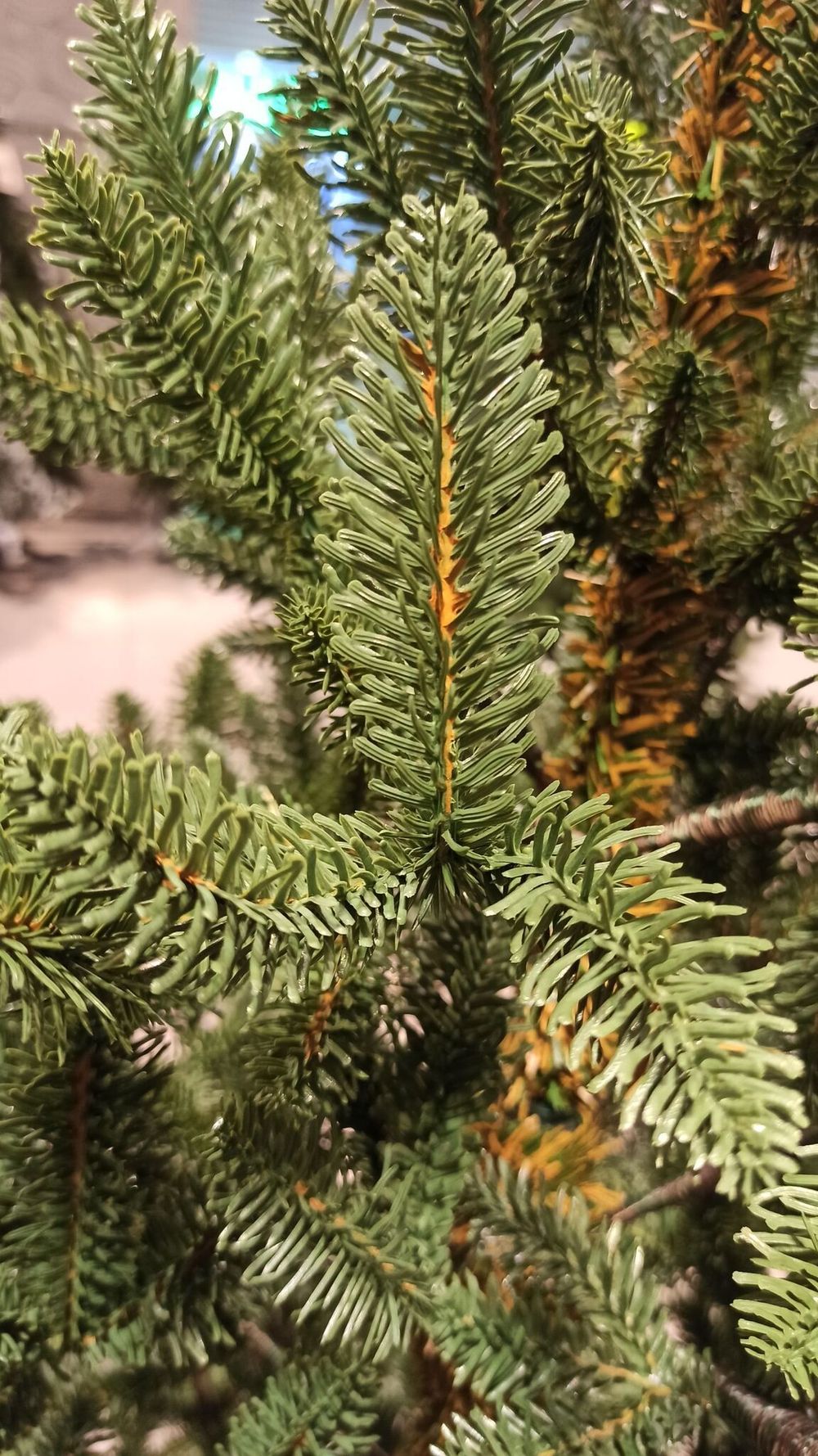 Искусственная ель на ножке «Датская» (хвоя литая) 180 см / 1,8 м