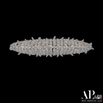 Потолочная люстра Rimini S505.0.40.B.3000