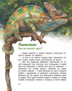 Динозавры и другие пресмыкающиеся. Детские энциклопедии с Чевостиком