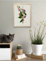 Постер настенный в багетной раме "Ботаника" 42*32 см