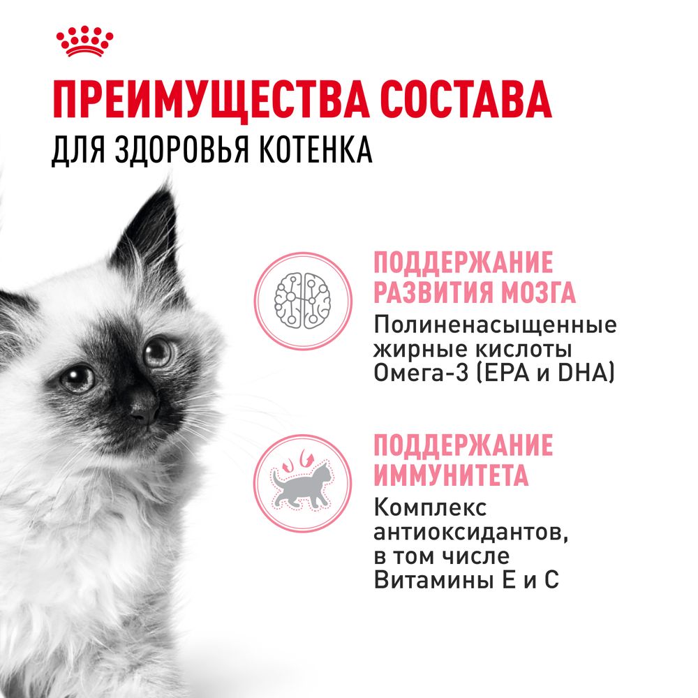Пауч Royal Canin Kitten Jelly для котят в период второй фазы роста в возрасте до 12 месяцев, кусочки в желе Пауч Royal Canin Kitten Jelly для котят в период второй фазы роста в возрасте до 12 месяцев, кусочки в желе