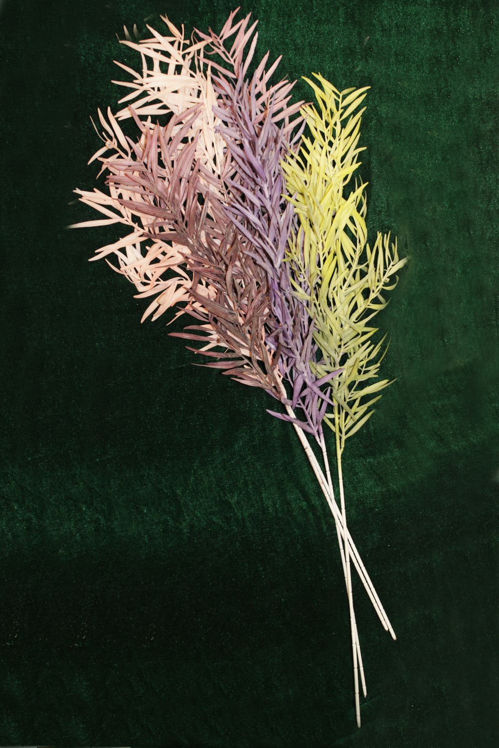 Ветка бамбука пластик (цветная)