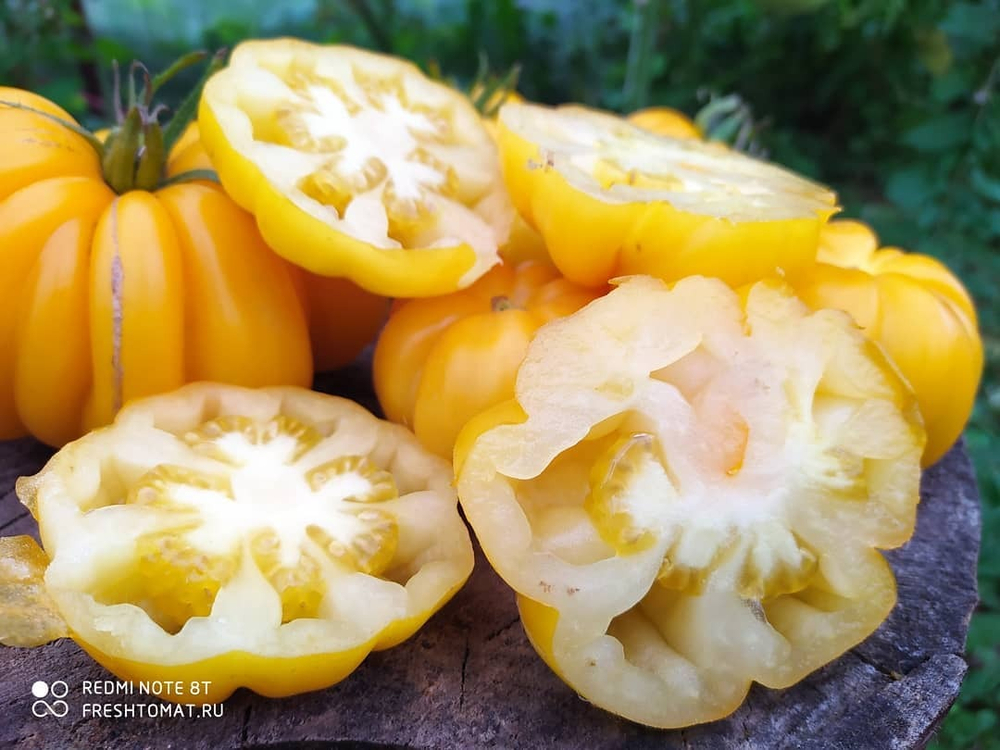 Жёлтый ребристый (Yellow ruffled) сорт томата