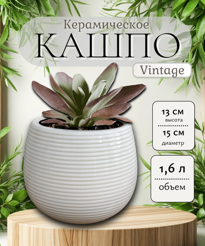 07.139.15 Кашпо Vintage d15; h13 см крем