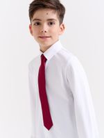 Галстук с фиксатором "Бордо"