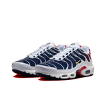 Мужские кроссовки Nike Air Max Plus 'PSG' FZ4776-100