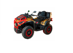 Квадроцикл BRC 1000 X-TERRA CT