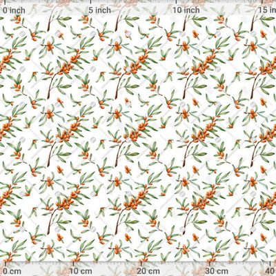 Облепиха крупная by HrunManun 1034 DPI