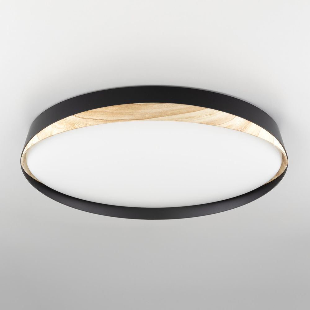 Citilux BONNY CL754451G LED RGB Светильник с пультом Чёрный + Клён