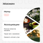 Жасмин