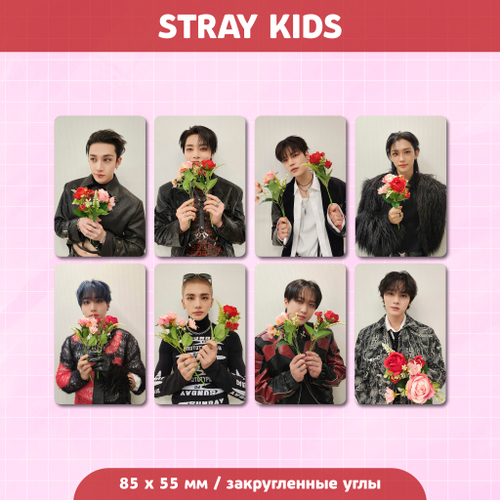 Сет карточек / STRAY KIDS #173