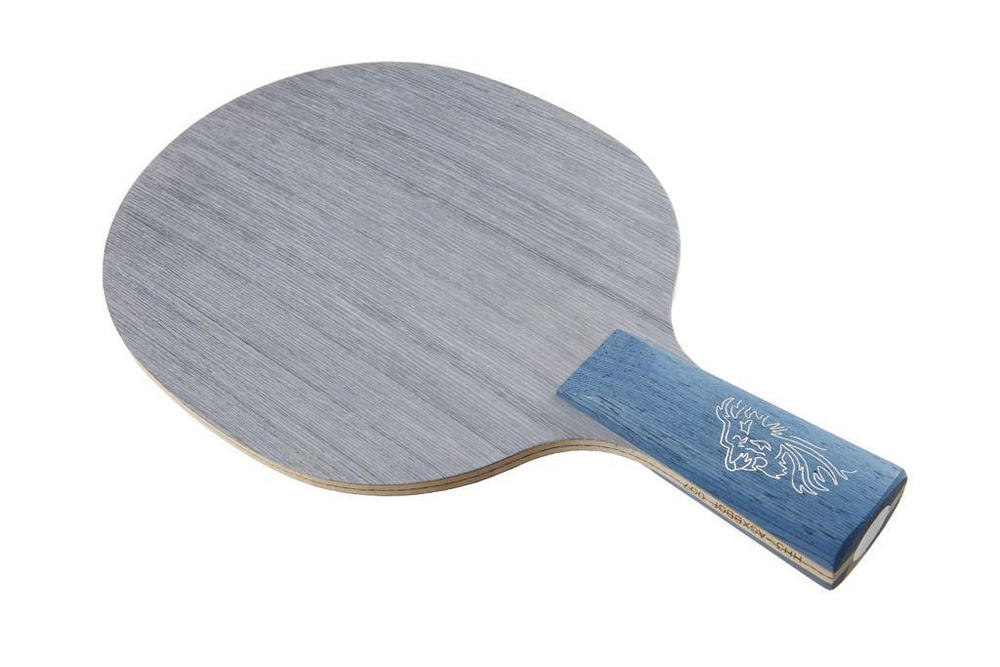 DHS Hurricane Hao III Ch.Pen