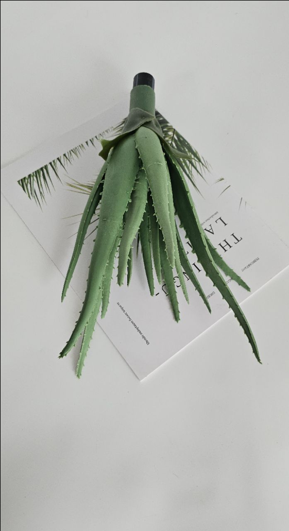 Алоэ / Арт 8060