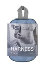 Трусики для страпона RealStick Strap-On Dylan черные