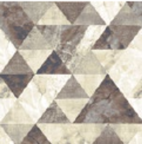 Принт 5-Ти Цветное Полотно p2462b2p 117 Рулон