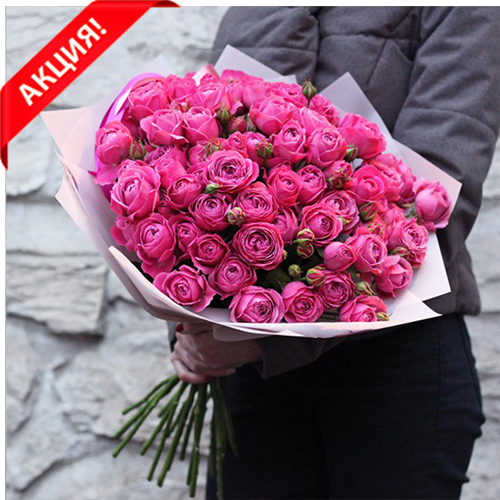 Купить Букет 19 пионовидных кустовых роз Misty Bubbles