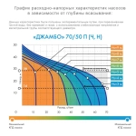 Насосная станция Джамбо Джилекс 70/50 П-50 ДОМ