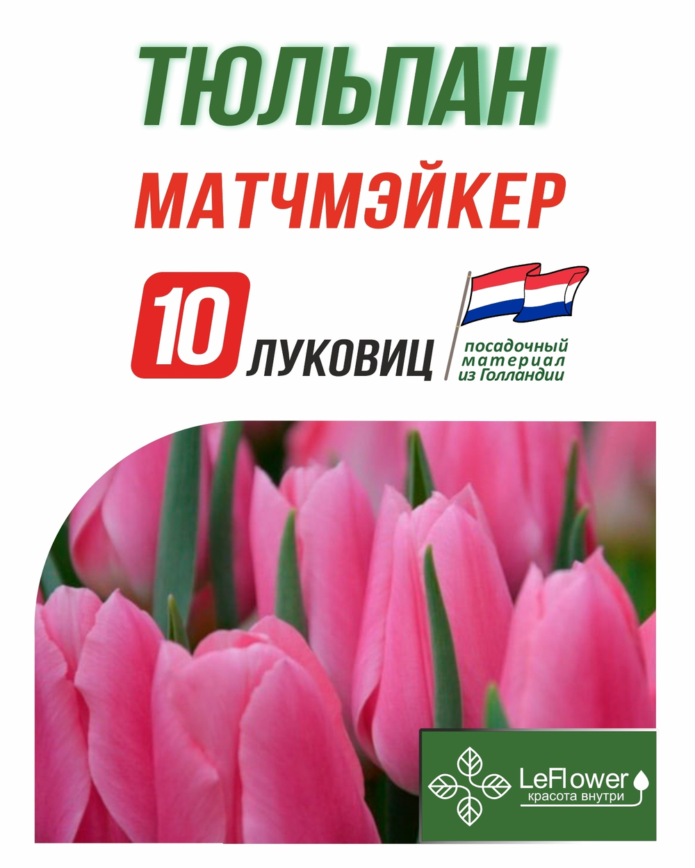 Тюльпан Луковица, Матчмэйкер, 10шт