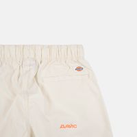  Брюки мужские Dickies Fishersville Pant артикул:DK0A4YSDF901 - купить в магазине Дайс