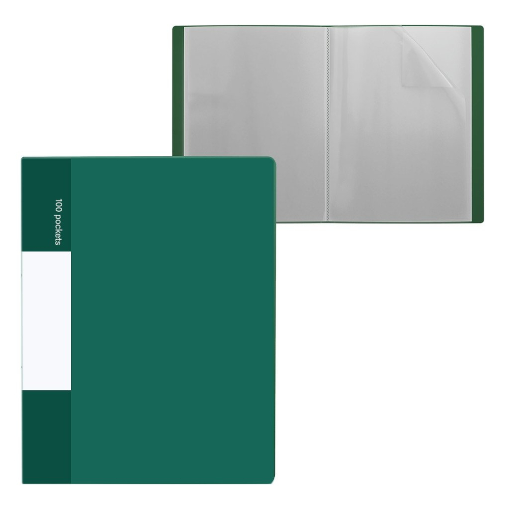 Папка с 100 вкладышами, А4, 50мм, 650 мкм, Alingar, пластик, матовые цвета ассорти