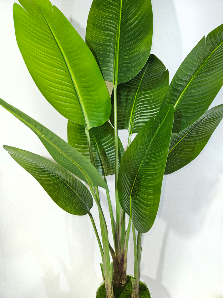 Искусственное растение Стрелиция Комнатная в кашпо